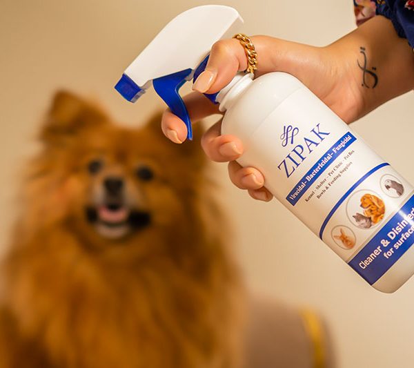 ضدعفونی سطوح زیپک سایز ۵۰۰ میل