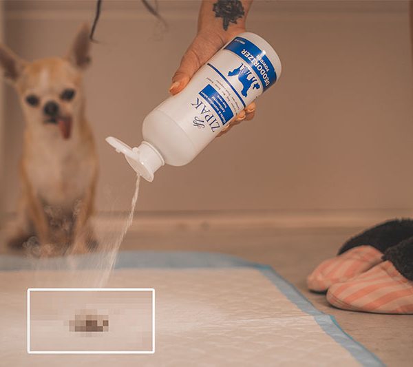 پودر بوگیر و آنتی باکتریال زیپک سایز ۵۰۰ گرم