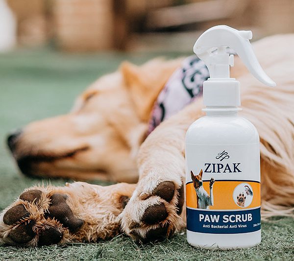 ضد عفونی کننده پنجه و نواحی تناسلی زیپک سایز ۲۵۰ میل