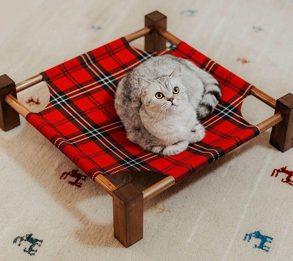 نشیمن چوبی سگ و گربه